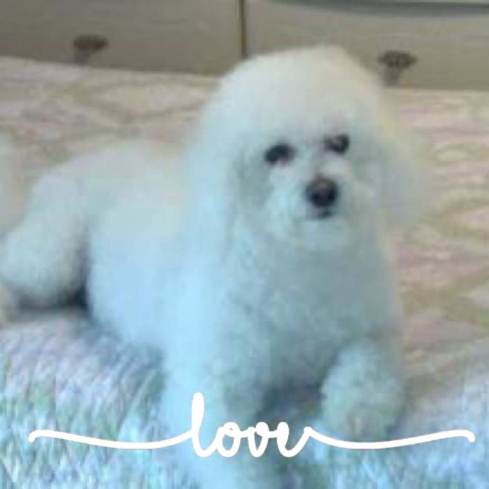 Meet your Posher, Christine